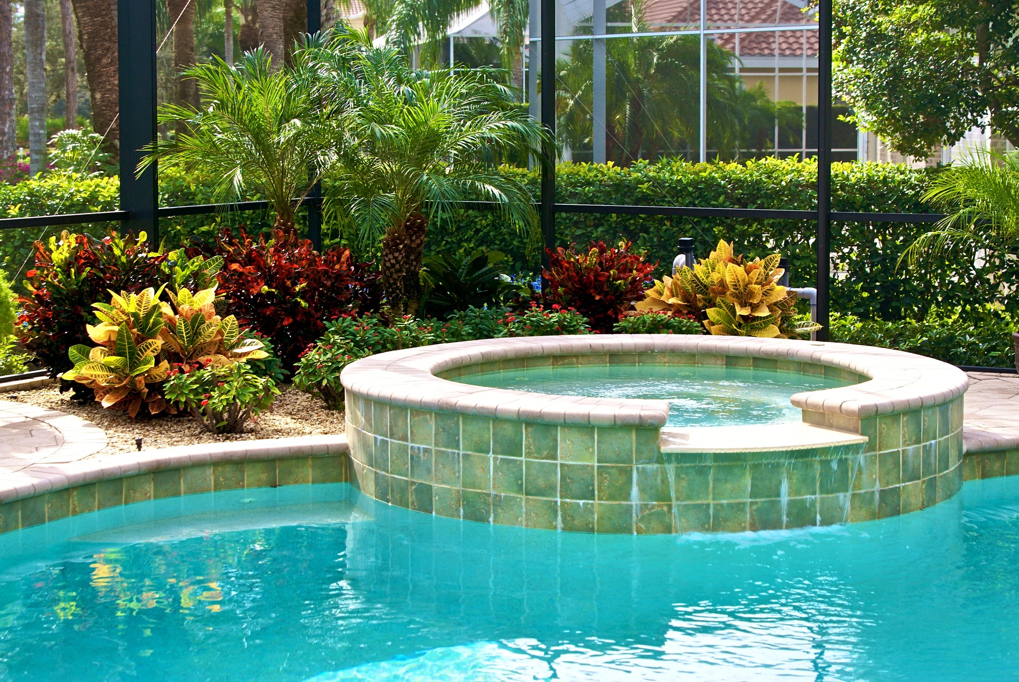 detail of swimming pool surrounded by plants and screened in lanai.