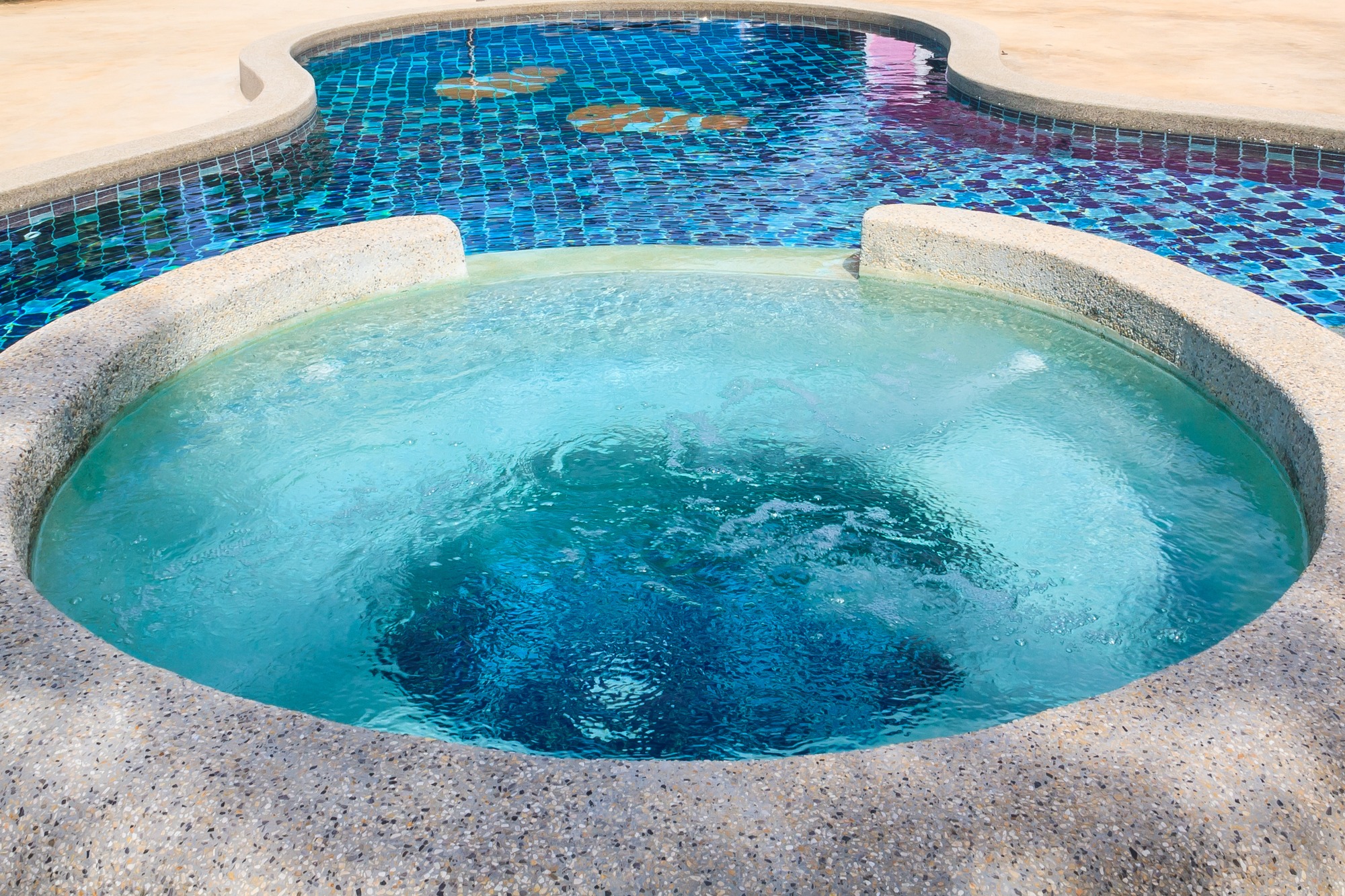 Pool in the backyard house.